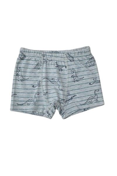 elmas kids Σετ 3 βαμβακερά μπόξερ με γκρι σχέδιο δεινοσαύρων για αγόρι