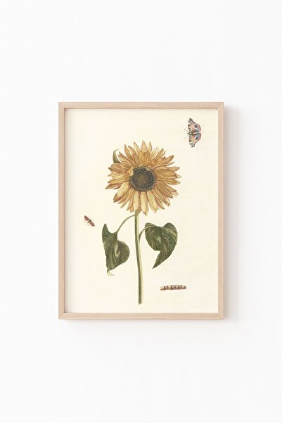 epiqart Ayçiçeği - Ahşap Desenli Çerçeve