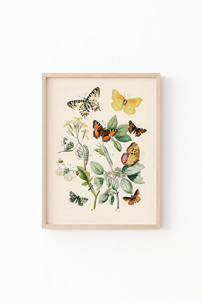 epiqart Fluturi - Ramă cu model din lemn