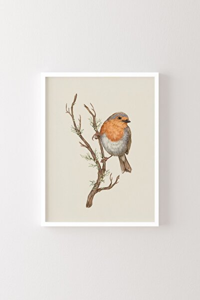 epiqart Desen de pasăre - Cadru alb