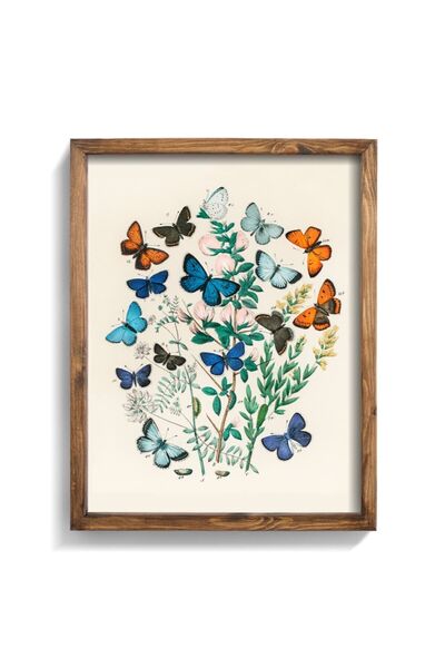 epiqart Butterflies - Wooden Patterned Frame