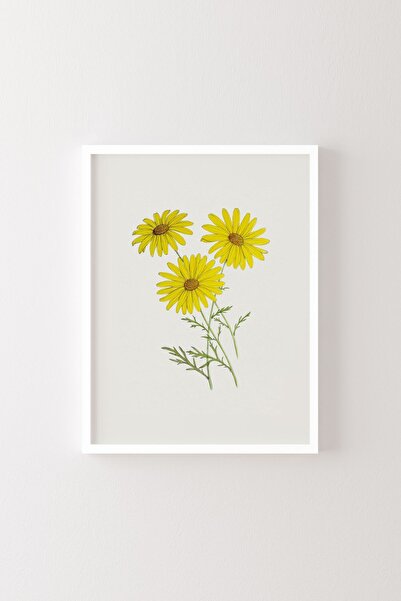 epiqart Flori - Cadru alb