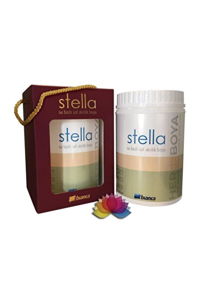 Bianca Stella Saf Akrilik Boya Siyah 1 Lt Ve Maximo Sıvı Cam Parlak 0,5 Kg Set