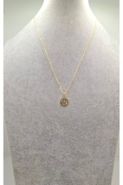 Han Ticarethane Altın Renk Aslan Burcu Model Kolye