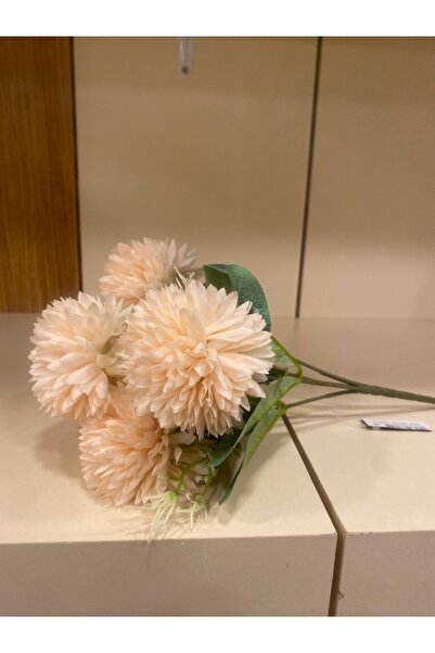 PLUS HOME زهرة الأوسكار سمك السلمون الصغير