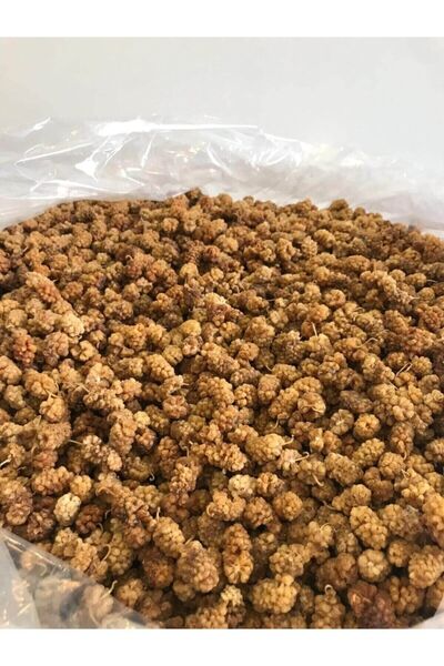 naturalköyürünleri Malatya Dut Kurusu 500 Gr