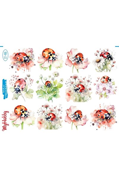 MyHobby Sulu Transfer Kağıdı St-486 25x35 Cm