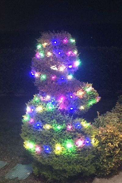 RoseRoi Fairy Led Light 3 Meters Colorful Light