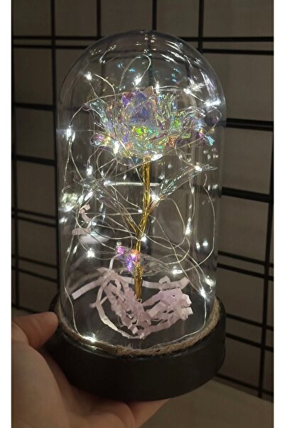 TOFY BUTİK Sonsuzluk Gül Cam Fanus Gün Işığında Renk Değiştiren Sonsuzluk Gül Fanus