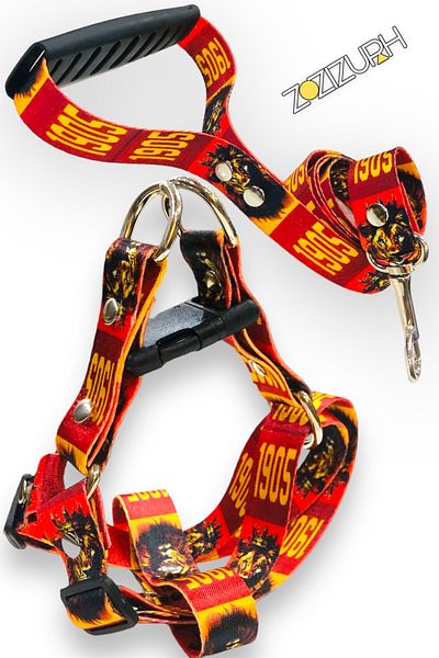 Angelapets Walking Strap Set - Dog and Chest Leash