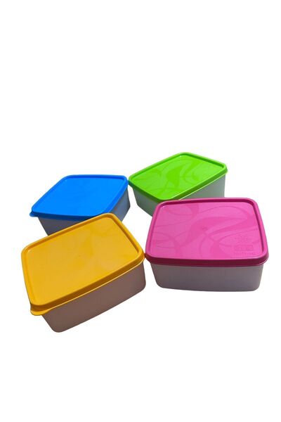 HOLLYHOME 4 Pieces Hobby Life Alaska Nofrost Storage Container Deep Freezer 650 ml