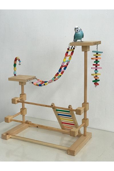 lata ahşap Bird Entertainment Track - Budgie, Paradise, Sultan, Sevda and Forpus Parrot