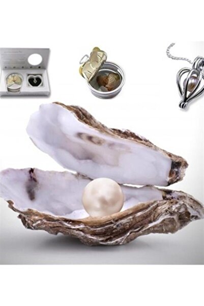 ÇILGIN المحار مع قلادة اللؤلؤ الحقيقي