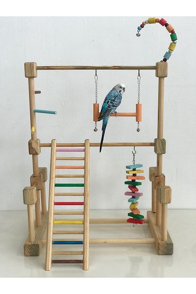 lata ahşap Bird Entertainment Track - Budgie, Paradise, Sultan, Sevda and Forpus Parrot
