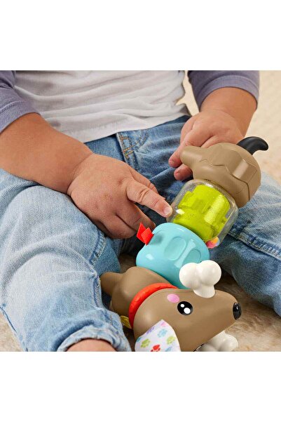 FISHER PRICE Köpekçikle Eğlenceli Aktiviteler HTW91