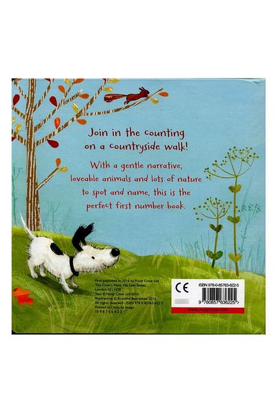 Nosy Crow 1 2 3 Walk In The Countryside