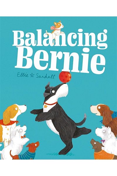 Kolektif Kitap Balancing Bernie