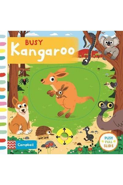 Campbell Books مشغول الكنغر / جماعي / عموم ماكمان /9781529017700