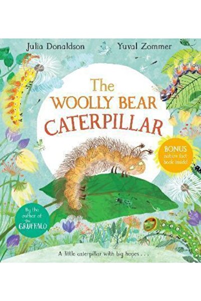 Pan Macmillan The Woolly Bear Caterpill Julia Donaldson