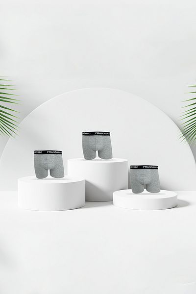 FRANCO RENZO Men's 3-Piece Luxury Boxed Boxers with Cotton and Lycra