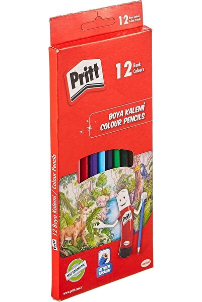 Öznur Abla بريت، 12 قلم طلاء جاف طويل، 12 لونًا - 1 دزينة