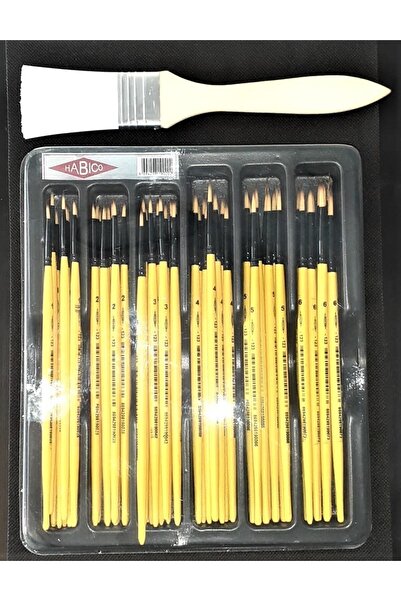 Habico Oto Boya Rötuş Fırça Seti Ve Mastik Fırçası 73 Parça Oto Rötuş Seti