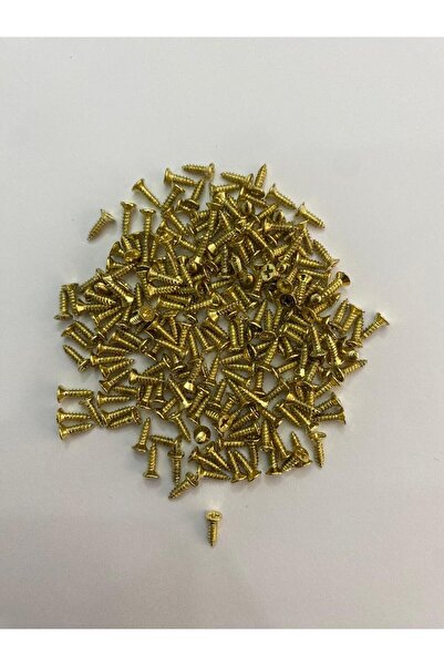 DMR 100 Adet 2.2x7.5 Mm Sac Vidası (100 ADET)