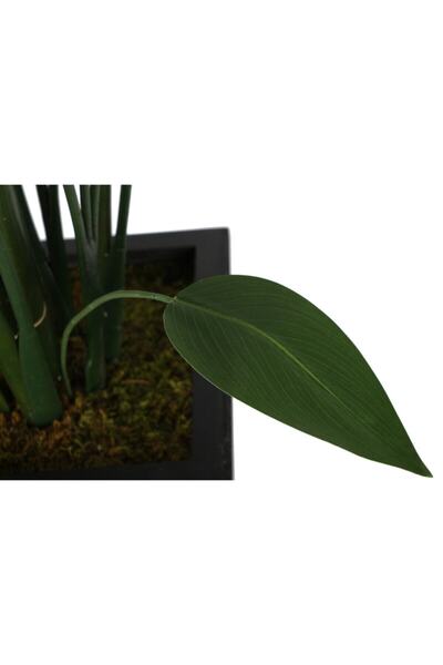 Yapay Çiçek Deposu Ahşap Saksıda Yapay Starliçe Ağacı 190 Cm