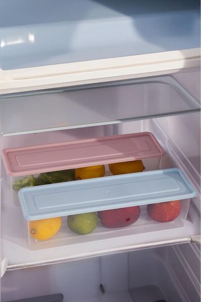 ray plastik 2-Piece Narrow Long Storage Container Pink and Blue Lid 1.5 Lt
