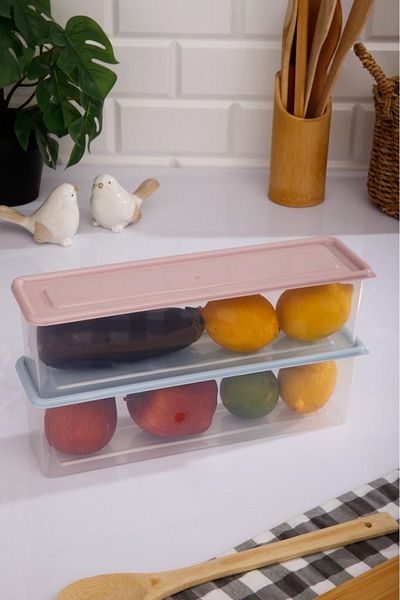 ray plastik 2-Piece Narrow Long Storage Container Pink and Blue Lid 1.5 Lt