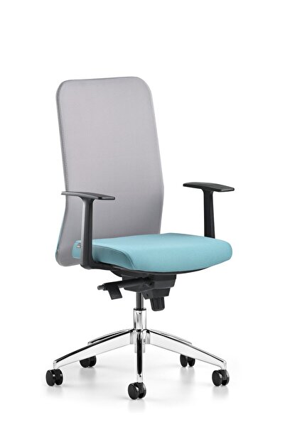 Bürotime Gri Mint Yeşili Comfy Sabit Kol Krom Ayak Çalışma Koltuğu