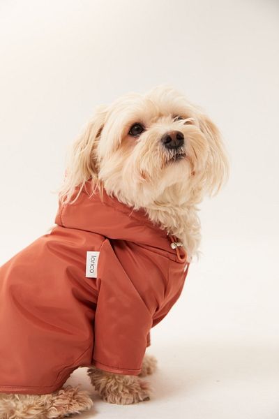 Lorico Hooded Waterproof Raincoat with Snap Fastener on the Front (Small and Large Breed Dog Coat)