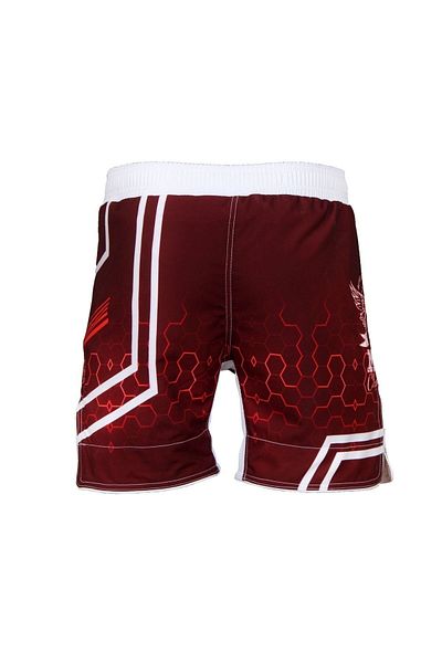 DO-SMAI Mma Fitness Boxing Muay Thai Training Shorts - Digital Printed, Hexagon Design, Sports Shorts Mms224