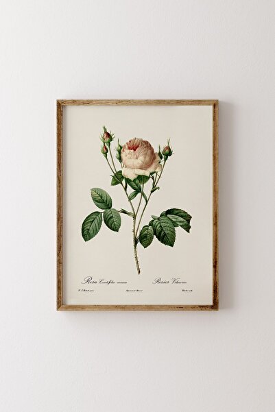 epiqart Цветя - Дървена шарена рамка