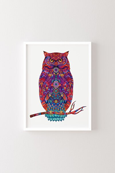 epiqart Πίνακας Κουκουβάγιας - Λευκός Πλαίσιο