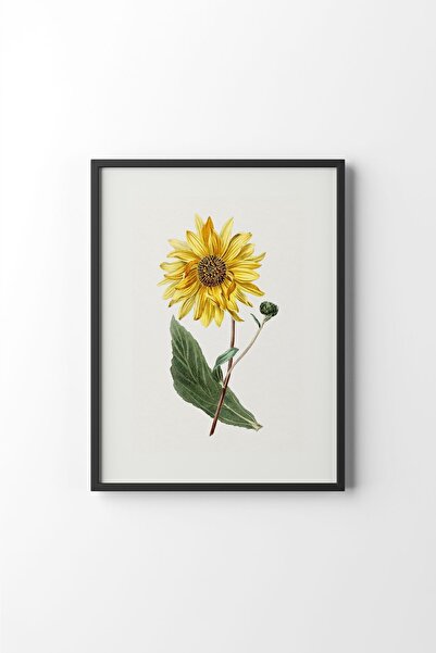 epiqart الزهور - الإطار الأسود
