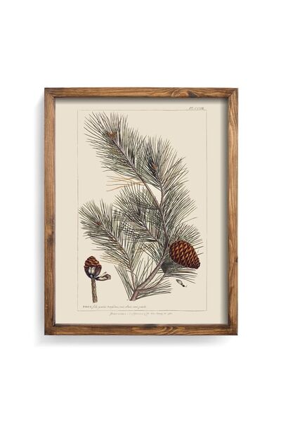 Pine Cone - Wooden Patterned Frame