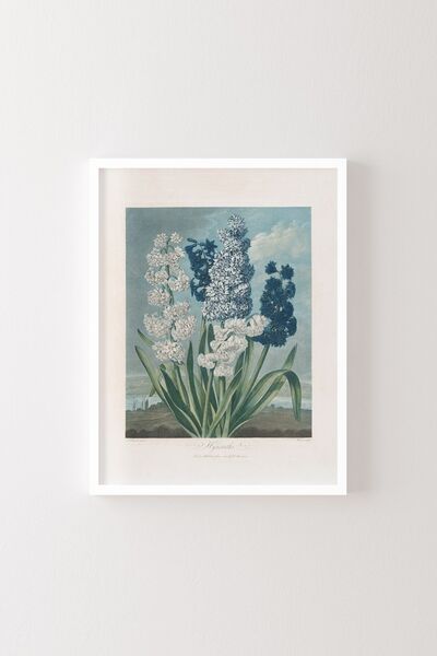 epiqart Ανθούρια - Λευκό Πλαίσιο