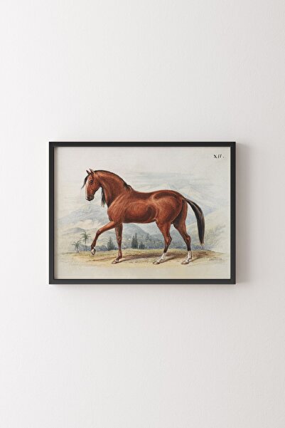 epiqart Vintage At Illüstrasyonu - Ahşap Desenli Çerçeve