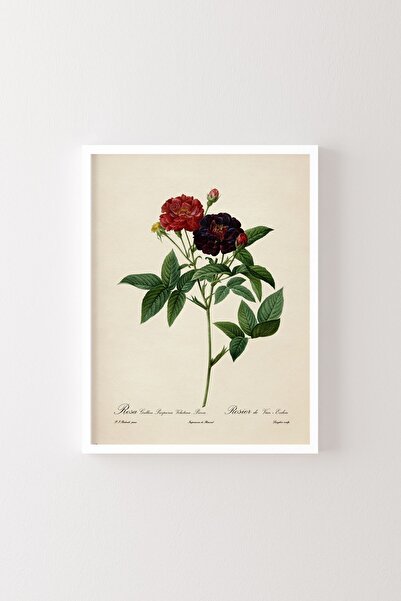 epiqart Flori - Cadru alb