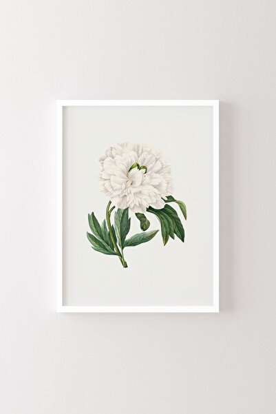 epiqart Flori - Cadru alb