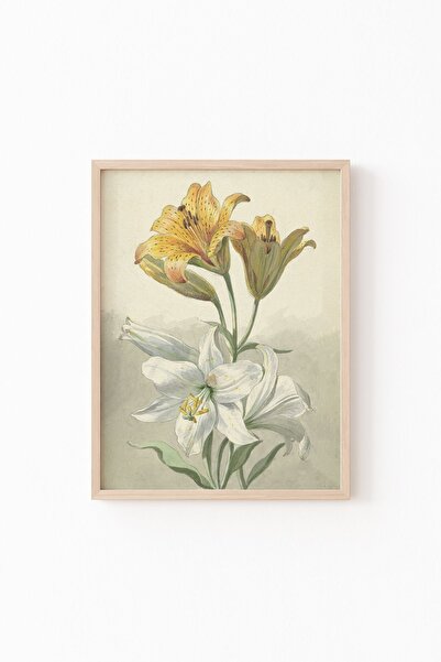 epiqart Sarı Ve Beyaz Zambaklar - Ahşap Desenli Çerçeve