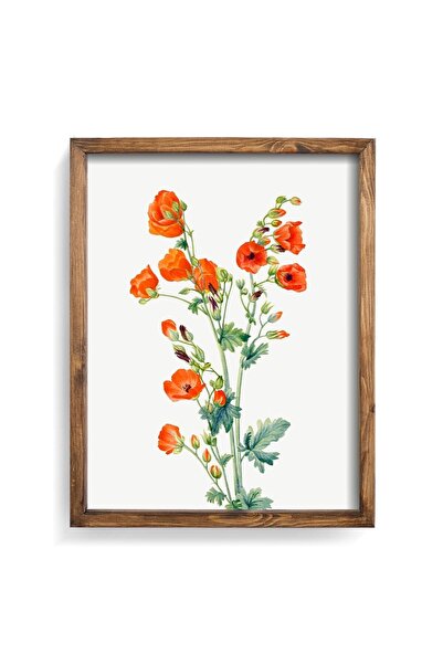 epiqart Sphaeralcea Coccinea - Ahşap Desenli Çerçeve