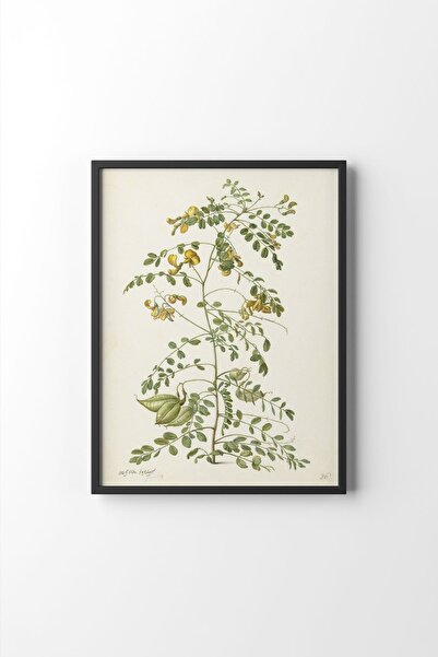 epiqart Blazenstruik Black Frame - Style Owner Design