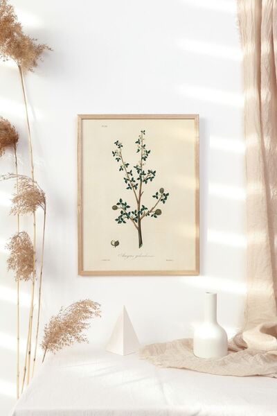 epiqart Amyris Gileadensis - Πλαίσιο φυτών με ξύλινο σχέδιο