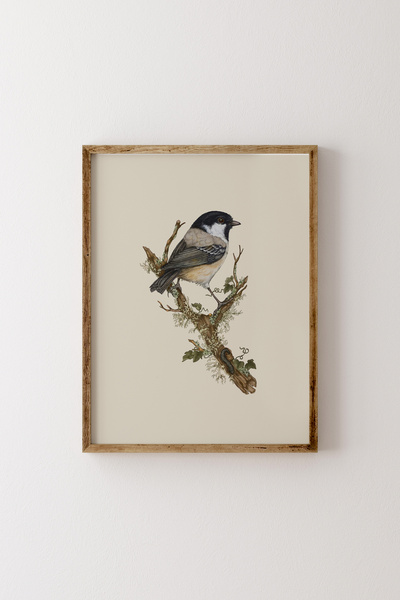 epiqart Kuş Çizim - Ahşap Desenli Çerçeve