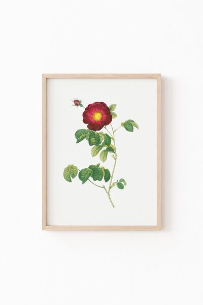 epiqart الزهور - إطار خشبي منقوش