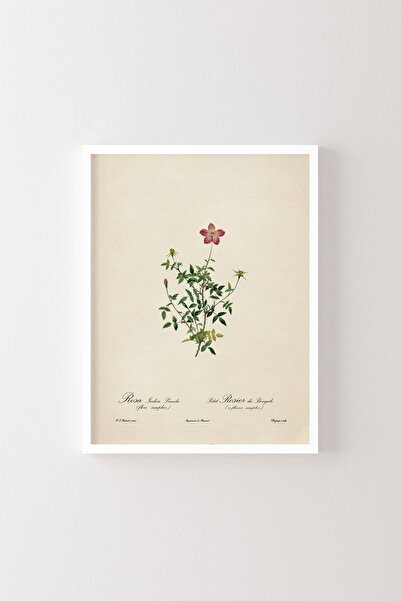 epiqart Flowers - White Frame