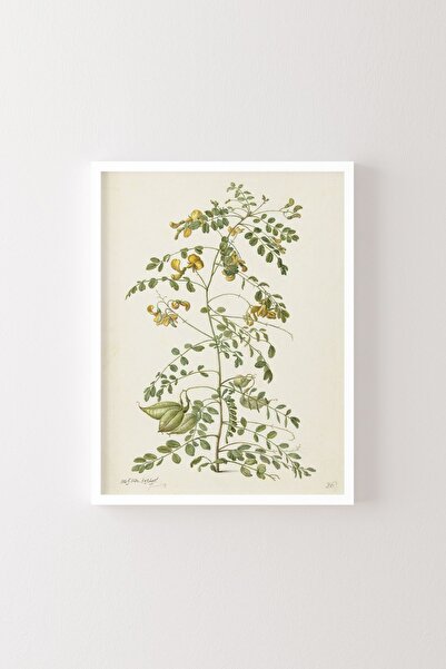 epiqart Blazenstruik - White Frame