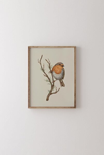 epiqart Kuş Çizim - Ahşap Desenli Çerçeve